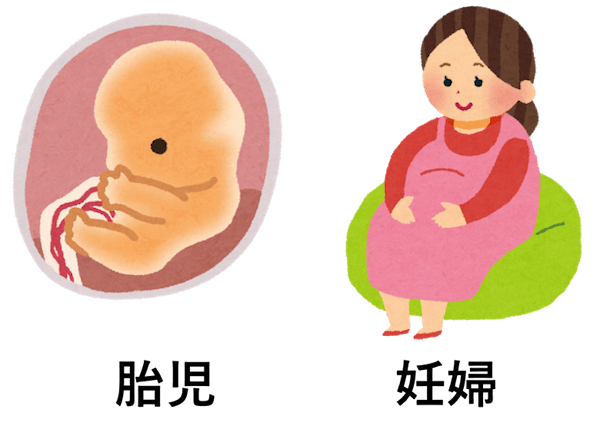 胎児と妊婦の図