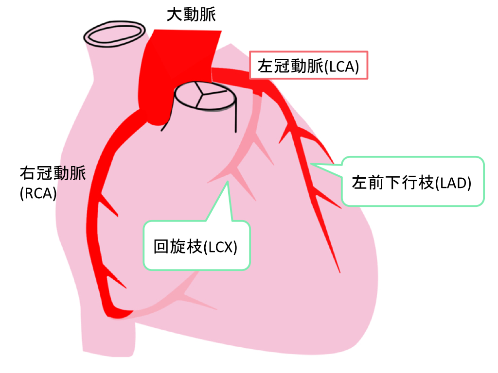 coronal-artery-003