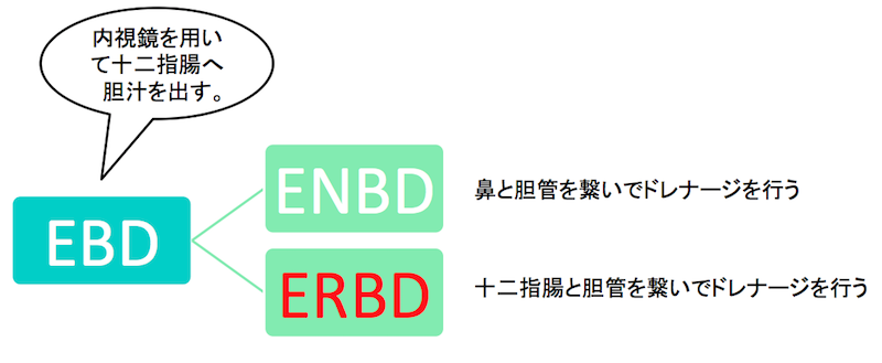 erbd