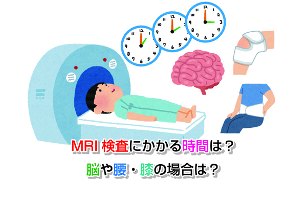 MRI検査にかかる時間は？脳や腰・膝の場合は？
