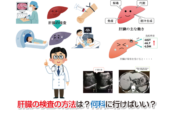 Inspection of the liver Eye-catching image