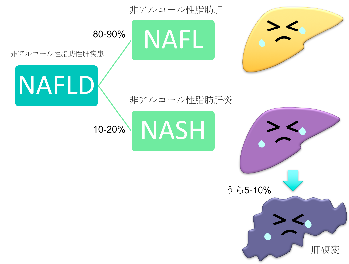 NAFLD NAFL NASH figure