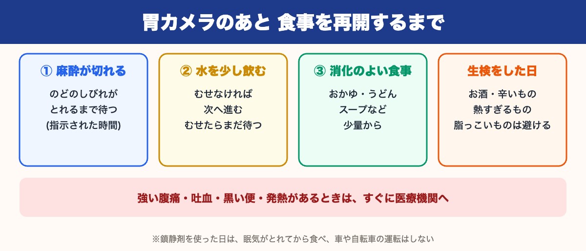 胃カメラのあと食事を再開するまでの流れ(麻酔が切れる→水を少し飲む→消化のよい食事、生検をした日の注意)