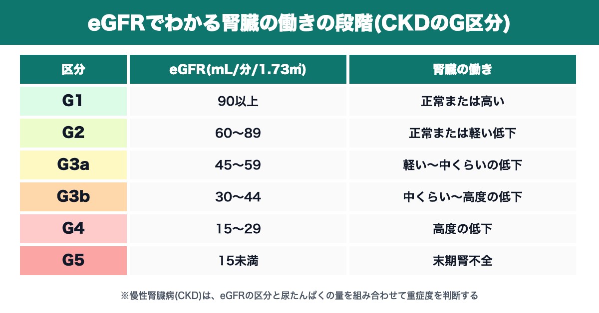 eGFRでわかる腎臓の働きの段階(CKDのG区分:G1〜G5)