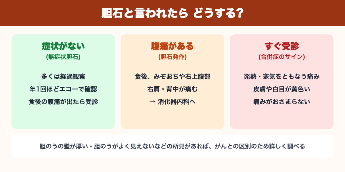 胆石と言われたときの対応(症状がない・腹痛がある・すぐ受診するサイン)