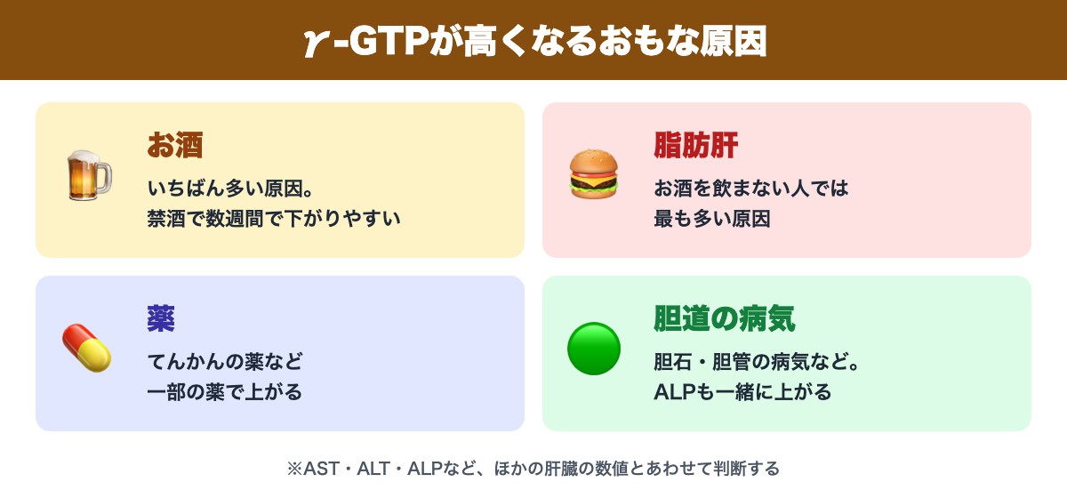 γ-GTPが高くなるおもな原因(お酒・脂肪肝・薬・胆道の病気)