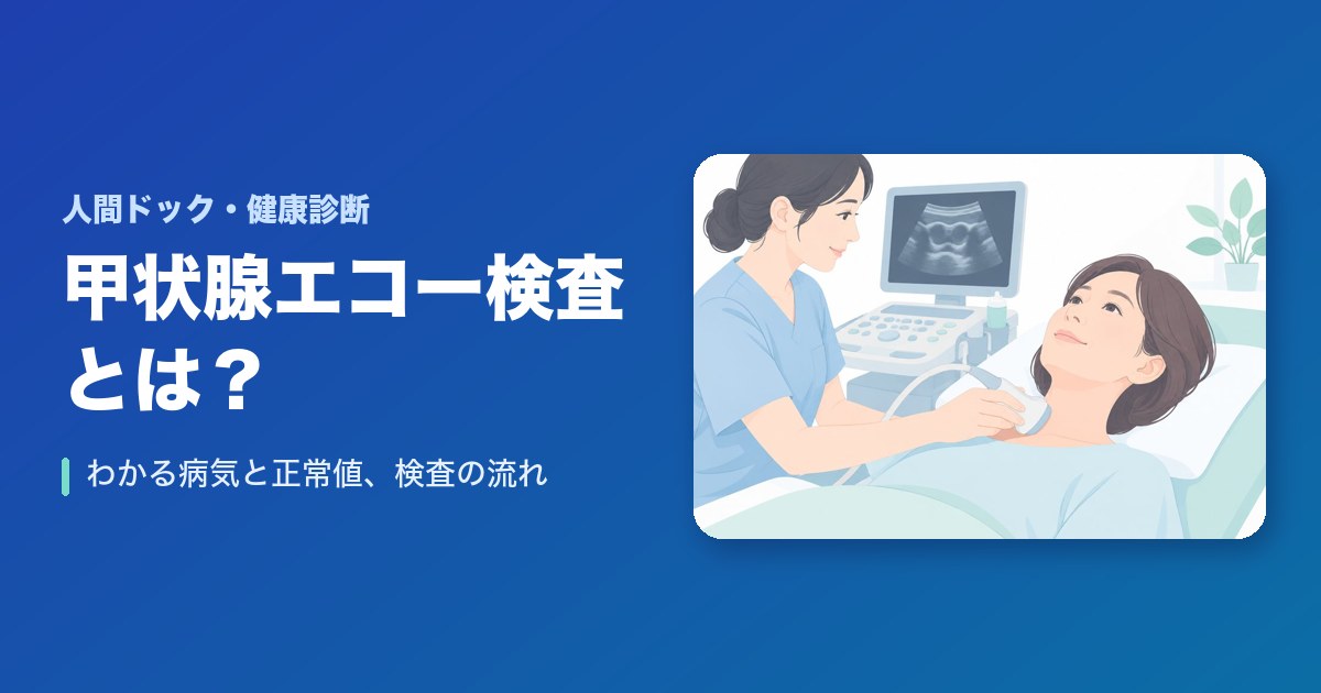 甲状腺エコー検査（超音波検査）とは？わかる病気と正常値、検査の流れ