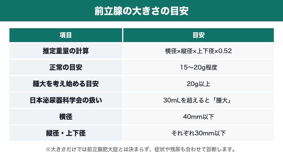 前立腺の大きさの目安の表