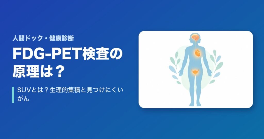 FDG-PET検査の原理は？SUVとは？生理的集積と見つけにくいがんをやさしく解説