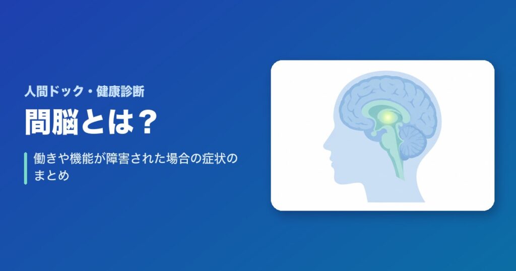 間脳とは?働きや機能が障害された場合の症状についてのまとめ