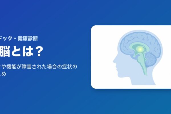 間脳とは？働きや機能が障害された場合の症状についてのまとめ