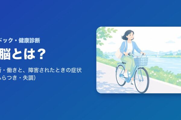 小脳とは？場所・働きと、障害されたときの症状（ふらつき・失調）を解説