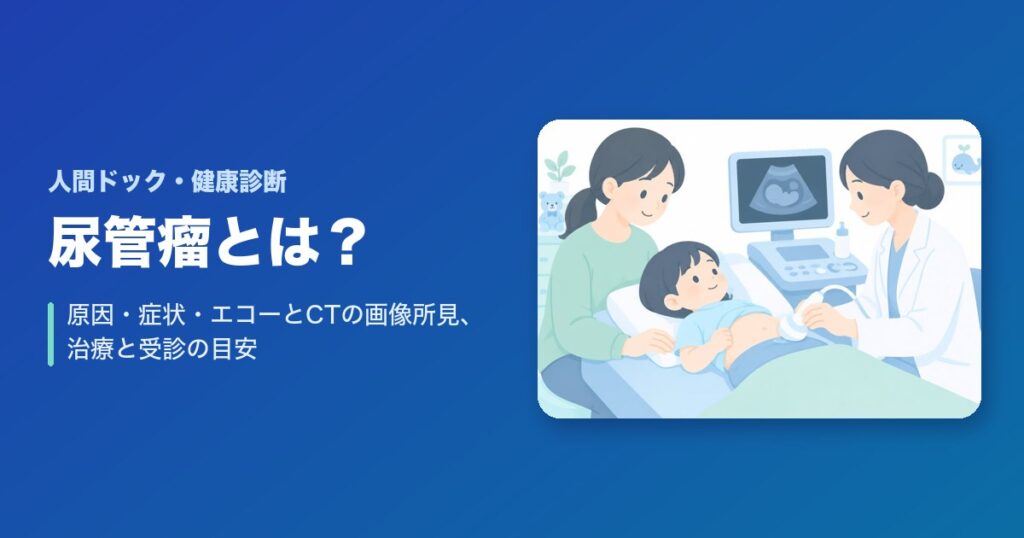 尿管瘤とは?原因・症状・エコーとCTの画像所見、治療と受診の目安を解説