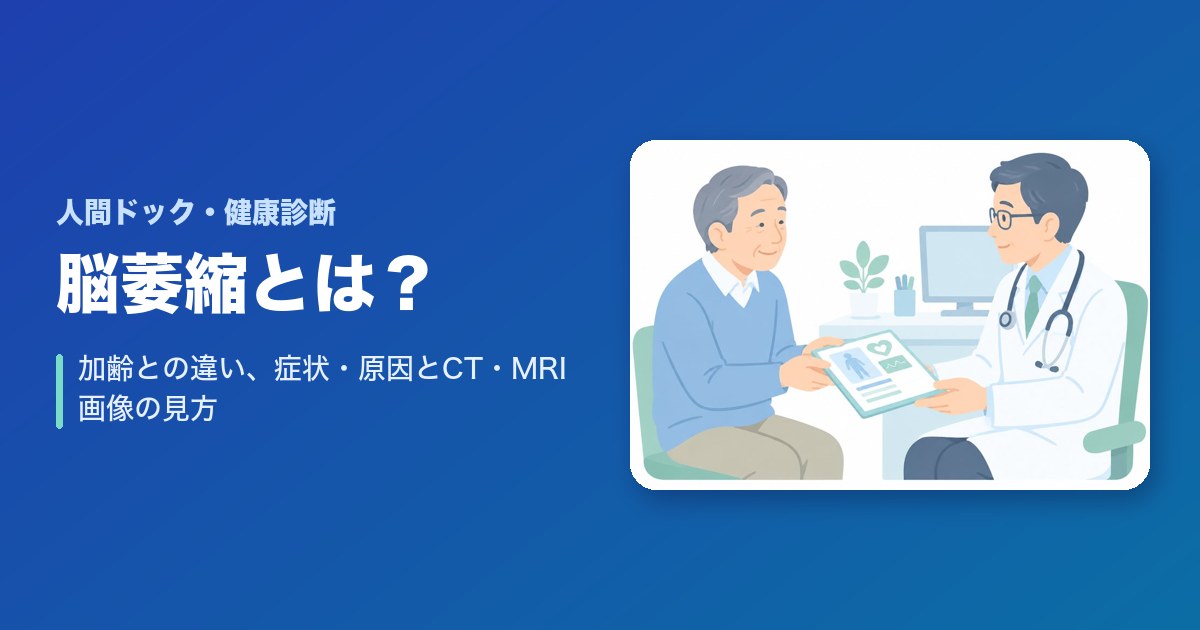 脳萎縮とは？加齢との違い、症状・原因とCT・MRI画像の見方、受診の目安