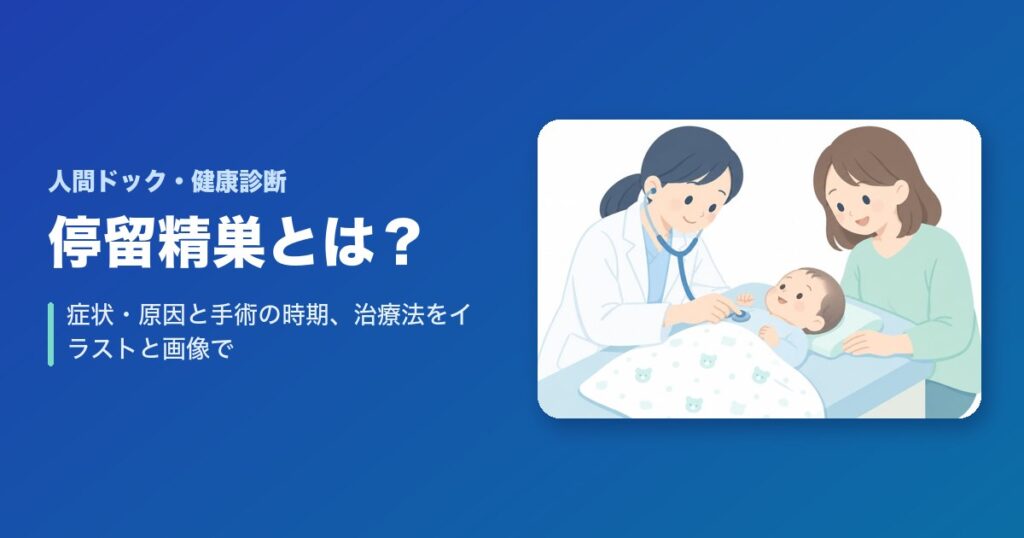 停留精巣とは?症状・原因と手術の時期、治療法をイラストと画像で解説