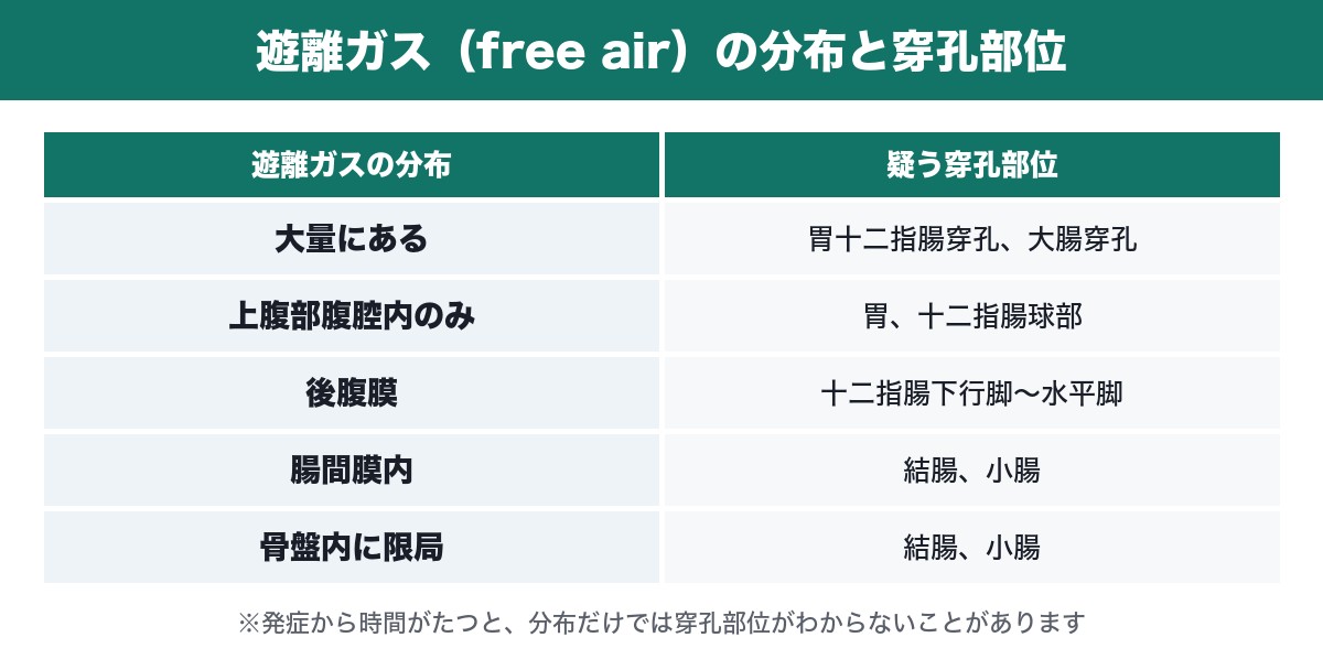遊離ガスの分布と穿孔部位の対応表