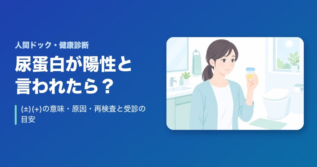 健康診断で尿蛋白が陽性と言われたら?(±)(+)の意味・原因・再検査と受診の目安