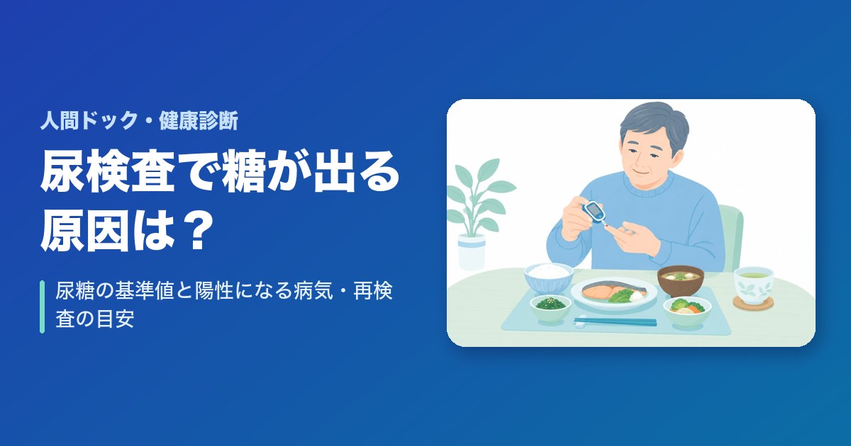 尿検査で糖が出る原因は？尿糖の基準値と陽性になる病気・再検査の目安