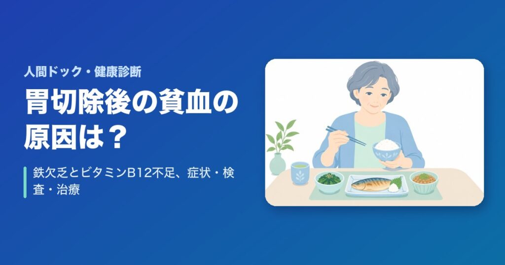 胃切除後の貧血の原因は？鉄欠乏とビタミンB12不足、症状・検査・治療