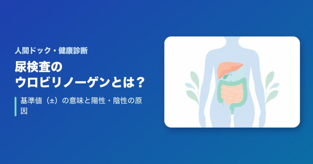 尿検査のウロビリノーゲンとは?基準値(±)の意味と陽性・陰性の原因