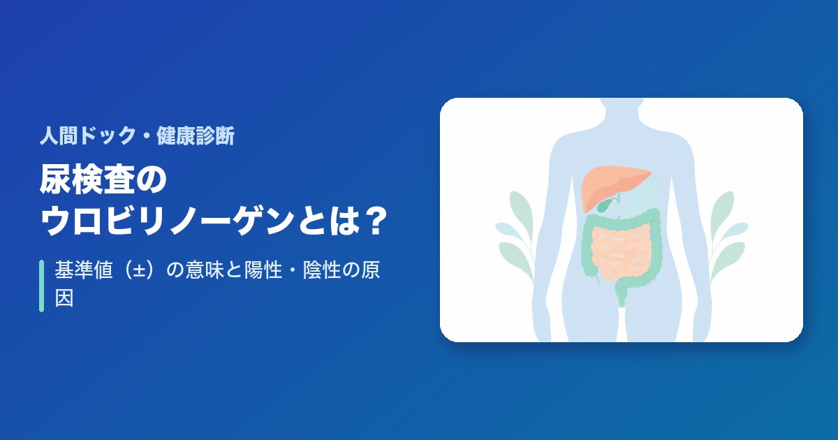 尿検査のウロビリノーゲンとは?基準値(±)の意味と陽性・陰性の原因