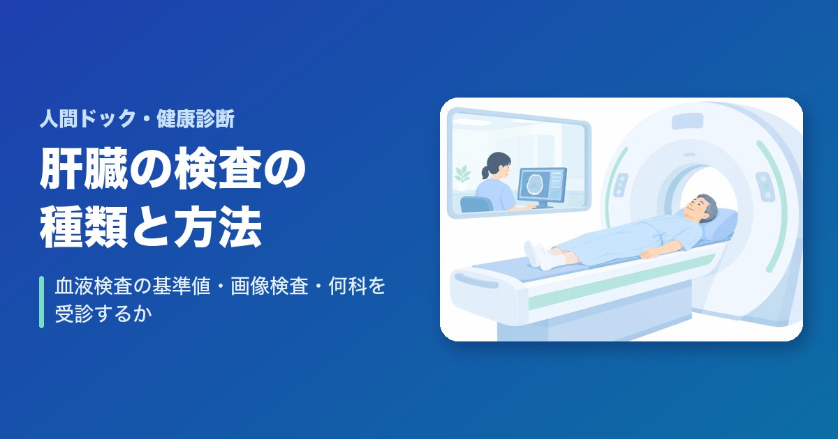 肝臓の検査の種類と方法は？血液検査の基準値・画像検査・何科を受診するか