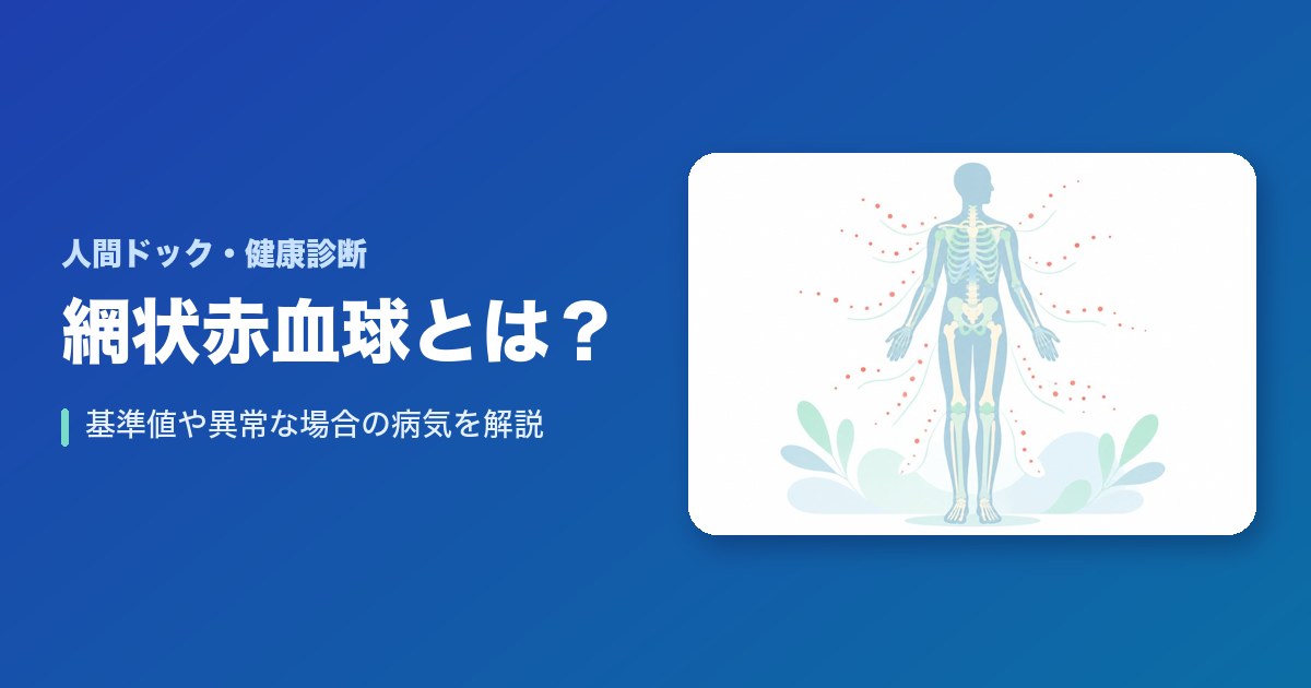 網状赤血球とは？基準値や異常な場合の病気を解説