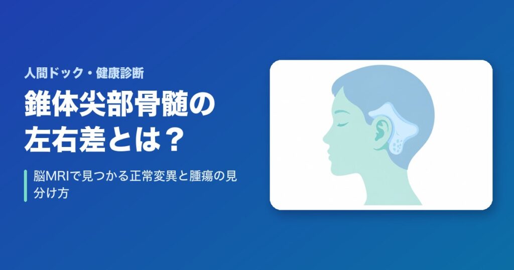錐体尖部骨髄の左右差とは?脳MRIで見つかる正常変異と腫瘍の見分け方