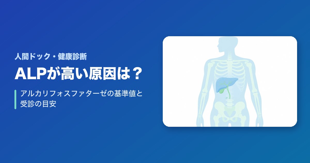 ALP(アルカリフォスファターゼ)が高い原因は?基準値と受診の目安
