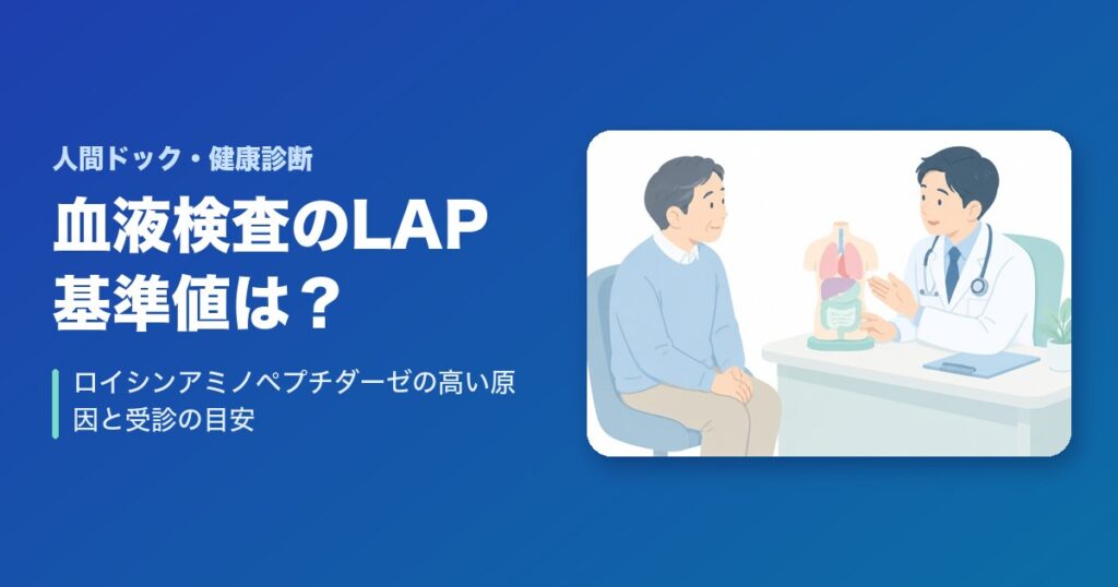 血液検査のLAP（ロイシンアミノペプチダーゼ）の基準値は？高い原因と受診の目安