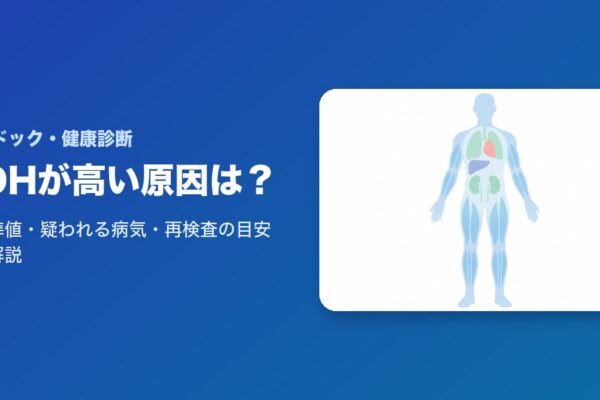 LDHが高い原因は？基準値・疑われる病気・再検査の目安を解説