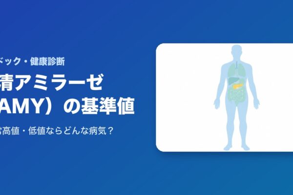 血清アミラーゼ(AMY)の基準値は？異常高値・低値ならどんな病気？