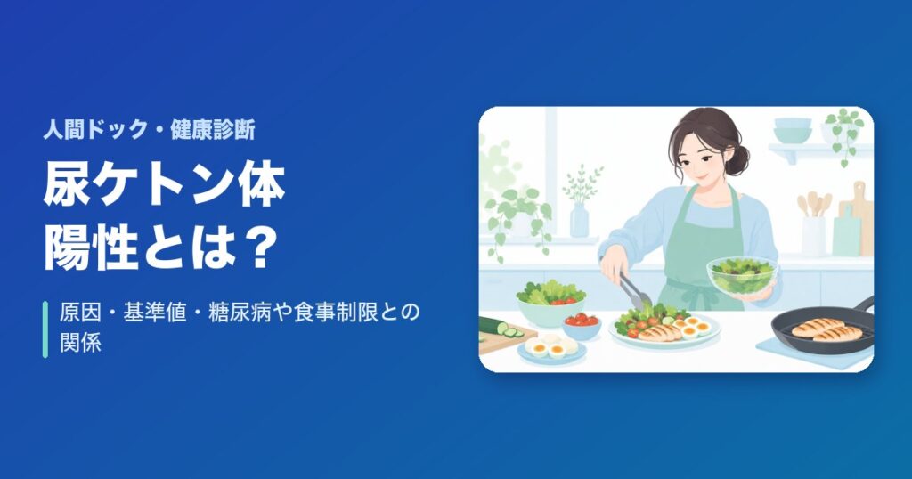 尿ケトン体が陽性とは?原因・基準値・糖尿病や食事制限との関係を解説