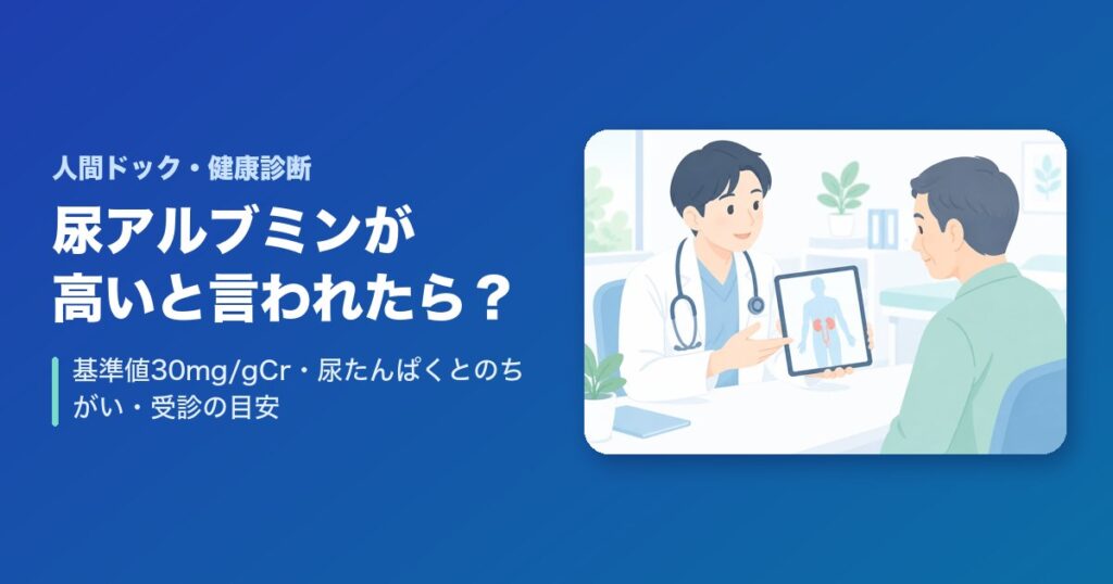 尿アルブミンが高いと言われたら?基準値(30mg/gCr)・尿たんぱくとのちがい・受診の目安