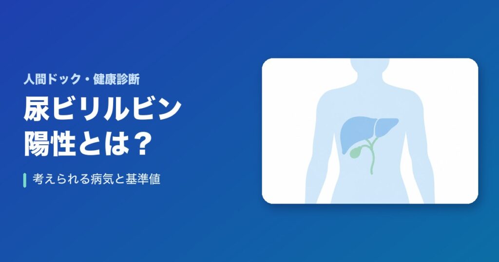 尿ビリルビンが陽性の場合考えられる病気は？基準値は？