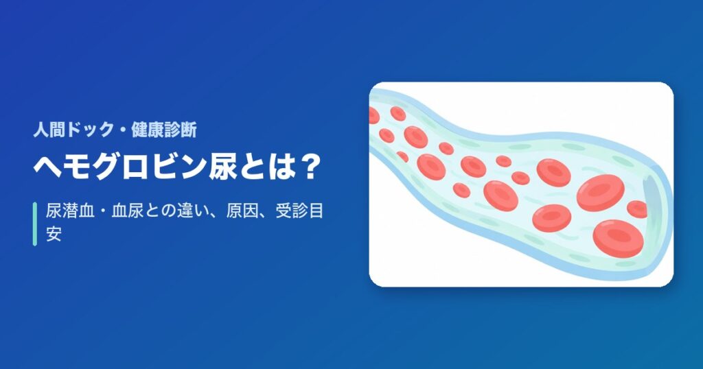 ヘモグロビン尿とは?尿潜血・血尿との違い、原因、受診目安を解説