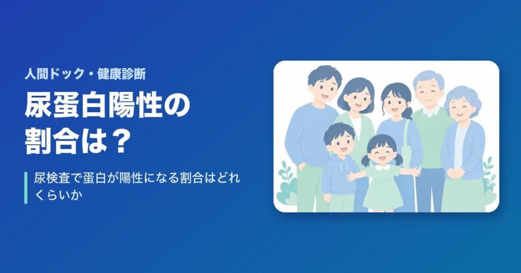 尿検査で蛋白が陽性になる割合はどれくらい?