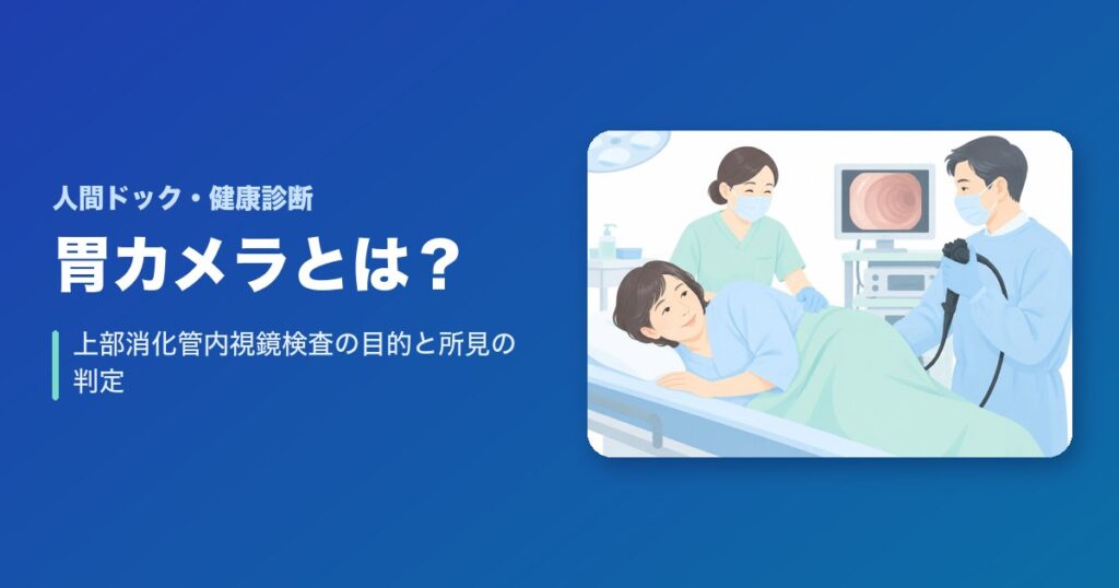 上部消化管内視鏡検査（胃カメラ）とは？目的や所見の判定について