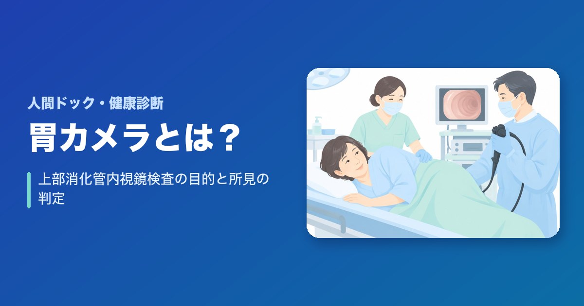 上部消化管内視鏡検査（胃カメラ）とは？目的や所見の判定について