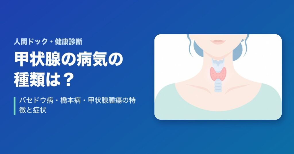 甲状腺の病気の種類は?バセドウ病・橋本病・甲状腺腫瘍の特徴と症状を解説