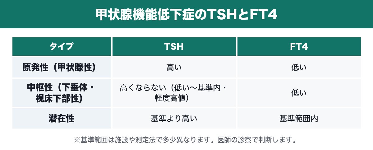甲状腺機能低下症のTSHとFT4の表
