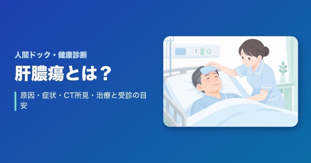 肝膿瘍とは?原因・症状・CT所見・治療と受診の目安をCT画像で解説