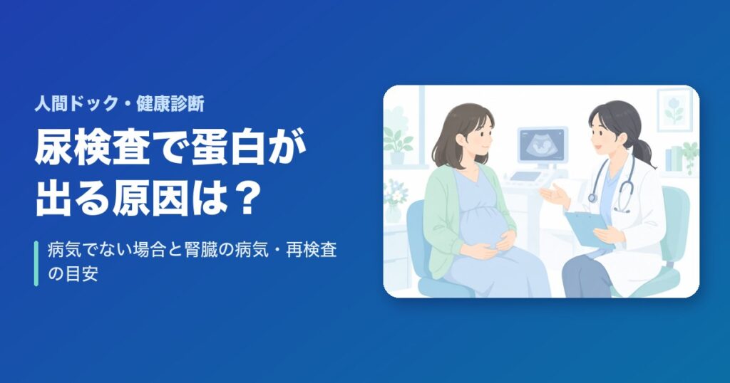 尿検査で蛋白が出る原因は？病気でない場合と腎臓の病気・再検査の目安
