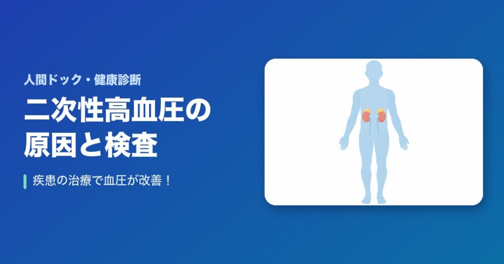 二次性高血圧の原因や検査方法は?疾患の治療で血圧が改善!