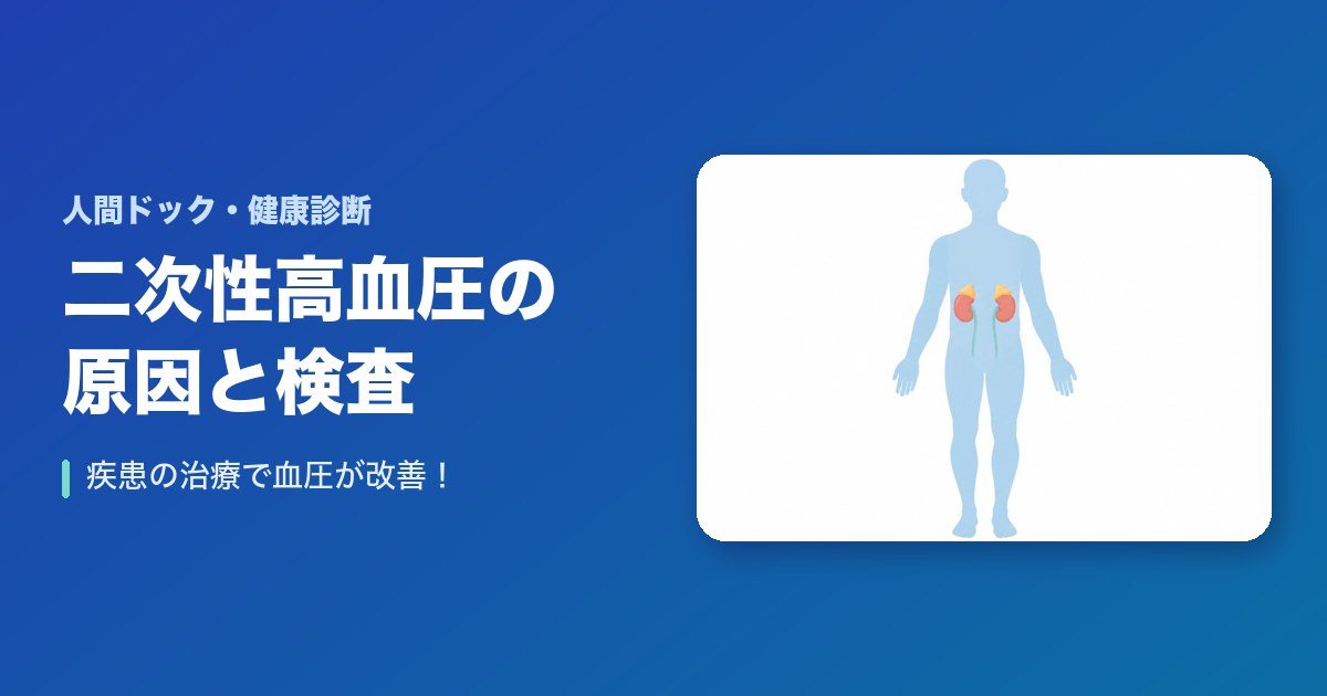 二次性高血圧の原因や検査方法は？疾患の治療で血圧が改善！
