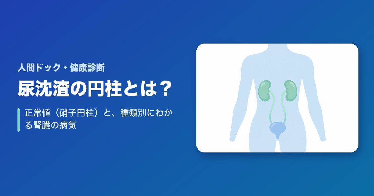 尿沈渣の円柱とは?正常値(硝子円柱)と、種類別にわかる腎臓の病気