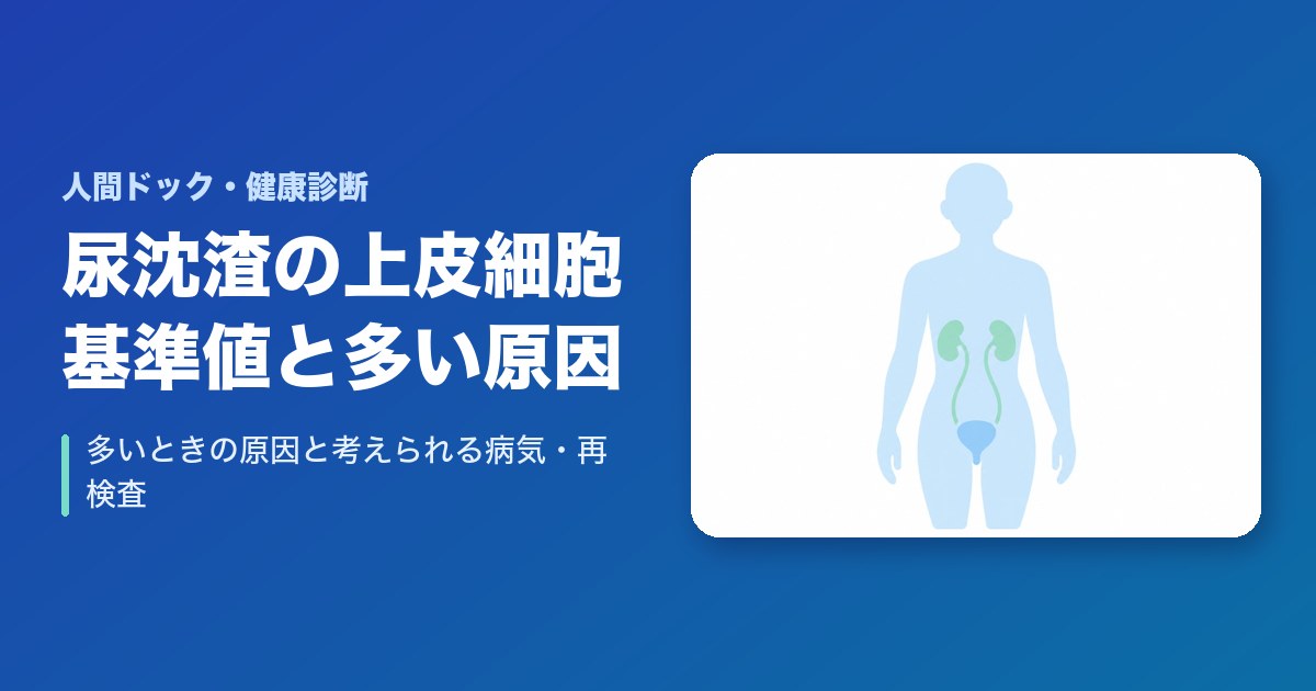 尿沈渣の上皮細胞の基準値は?多いときの原因と考えられる病気・再検査