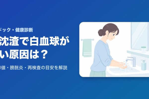 尿沈渣で白血球が多い原因は？基準値・膀胱炎・再検査の目安を解説