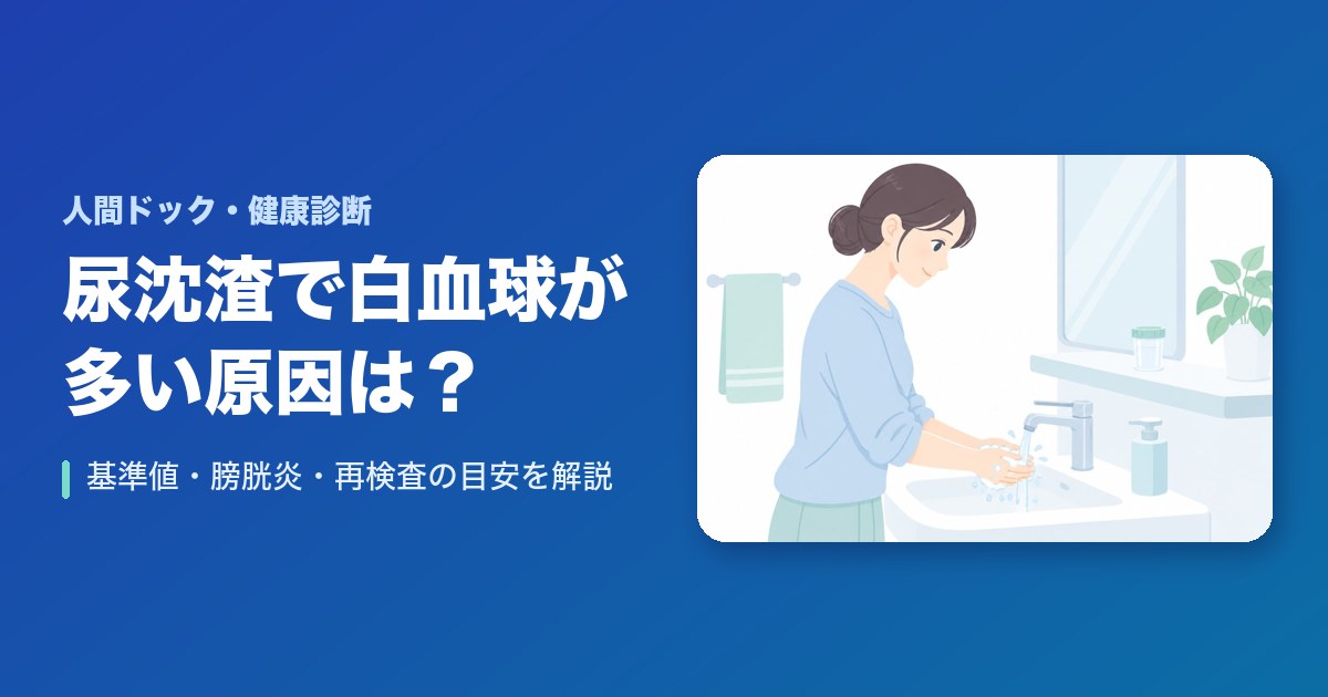 尿沈渣で白血球が多い原因は？基準値・膀胱炎・再検査の目安を解説