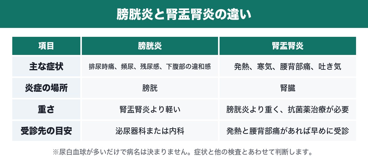 膀胱炎と腎盂腎炎の違いの表